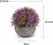 6 Pack Mini Artificial Succulent Small Potted Plants – Colorful Faux Lifelike Desk & Home Office Decor for Indoor Display